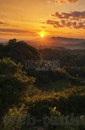 大象传媒App-大象传媒App，重塑数字娱乐的巨象力量