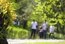 果冻传媒资源网-探索果冻传媒资源网的多元魅力与价值
